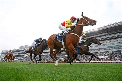 hong kong horse race odds data|The Hong Kong Jockey Club .